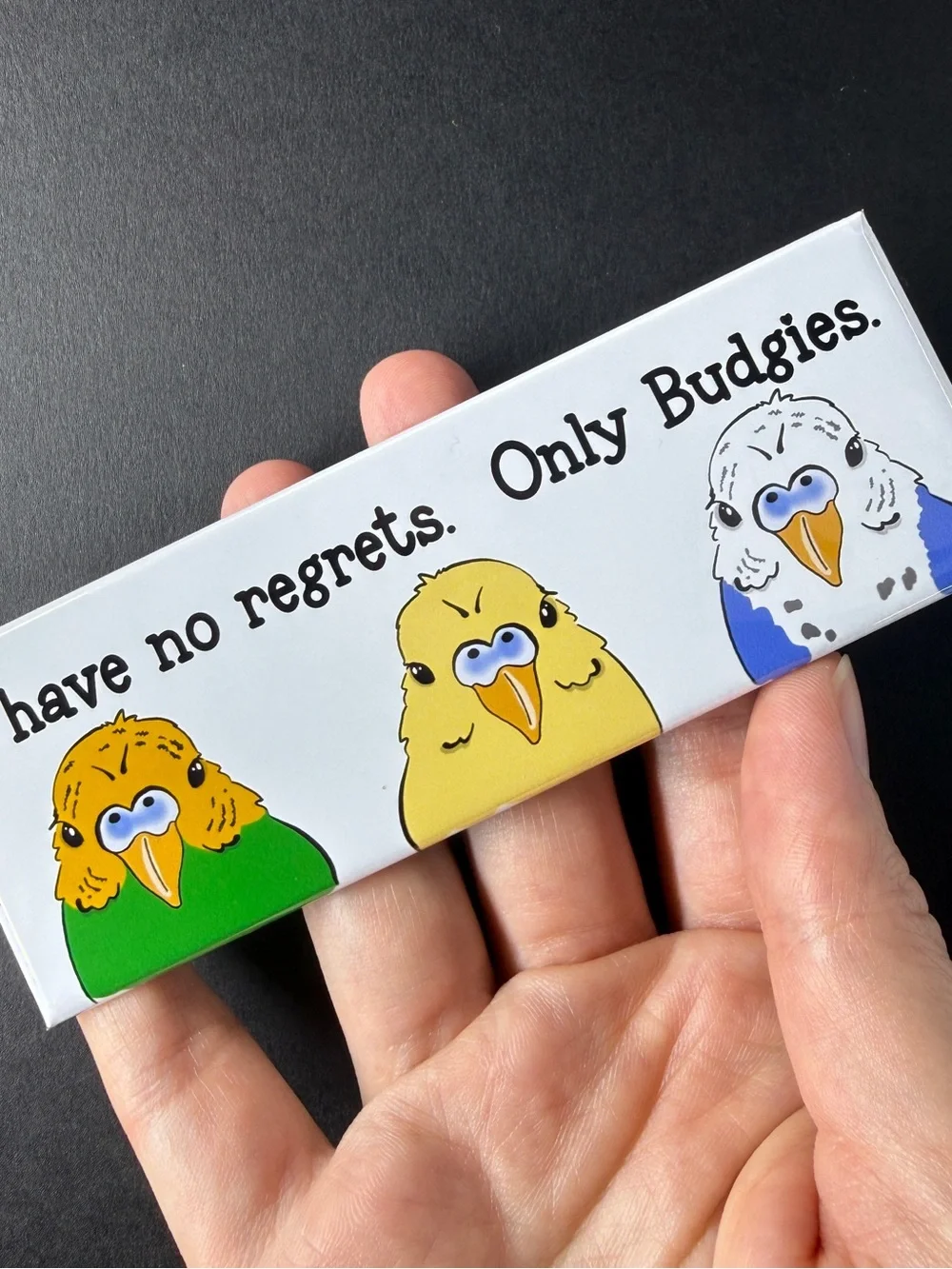I Have No Regrets, Only Budgies Magnet, Handmade & Hand Illustrated 1.5x4.5”